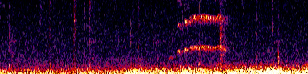 Sonogram of Hemitriccus granadensis, 300 Hz to 6.5 kHz