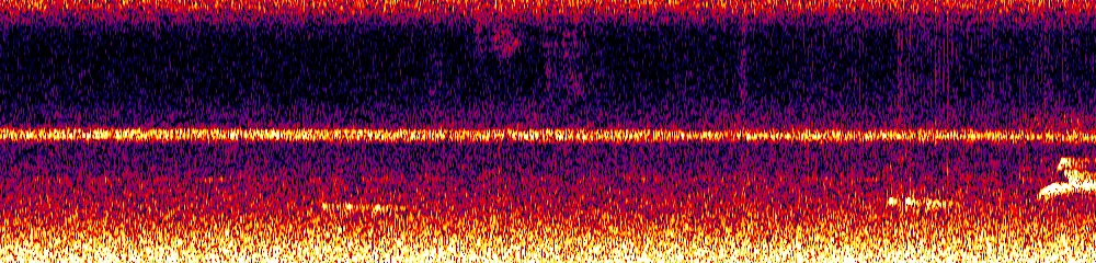 Sonogram of Legatus leucophaius, 700 Hz to 11.0 kHz