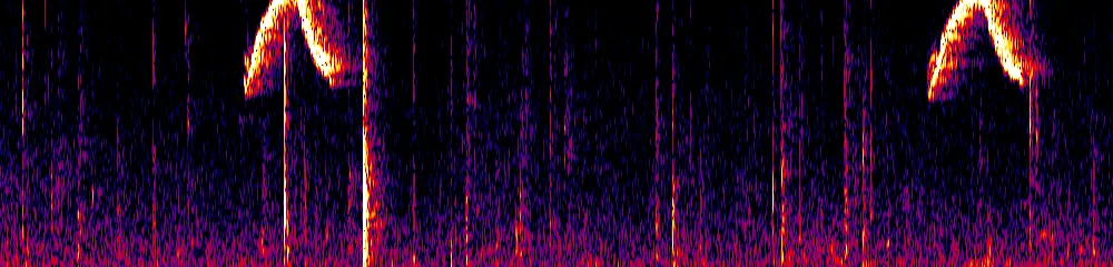 Sonogram of Ochthoeca cinnamomeiventris, 300 Hz to 6.5 kHz