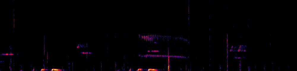 Sonogram of Pseudotriccus ruficeps, 700 Hz to 11.0 kHz