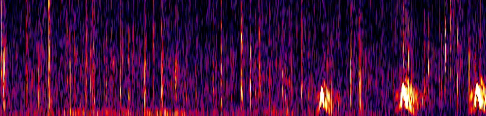 Sonogram of Strix virgata, 150 Hz to 2.6 kHz